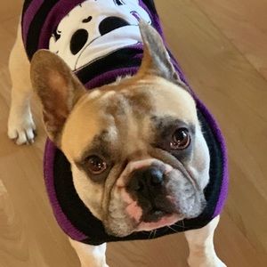 Meet your Posher, Barb